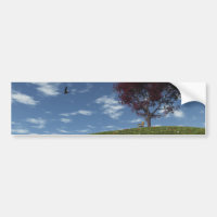 Clouds Go Voile Par Bumper Sticker