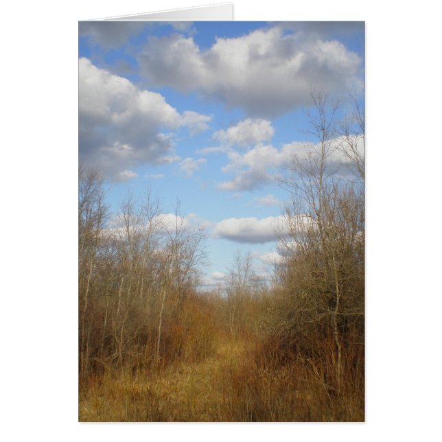 "Clouds in Spring Over the Lane" (Front)