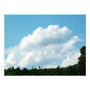 Clouds Meet Trees Photo Print