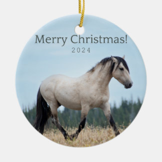 Cloud's Pride: Pryor Wild Mustang Ornament