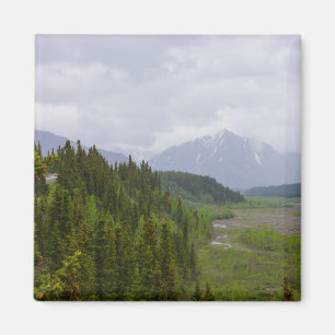 Cloudy At Denali Magnet