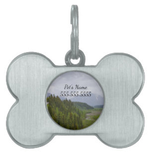 Cloudy At Denali Pet Tag