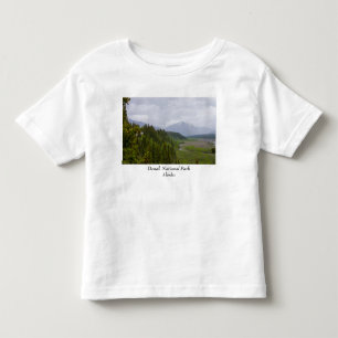 Cloudy At Denali Toddler T-shirt