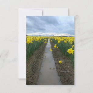 Cloudy Day Daffodils  Card