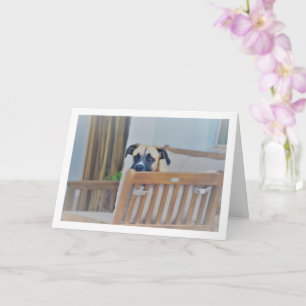 Cloudy Dog Portrait Card