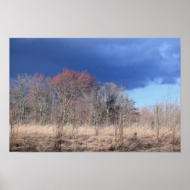 Cloudy Landscape Poster (Front)