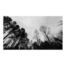 Cloudy Skies, 