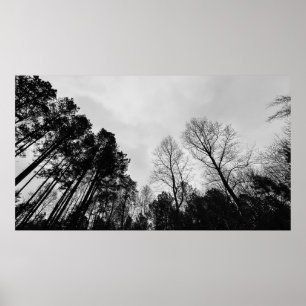 Cloudy Skies, Poster