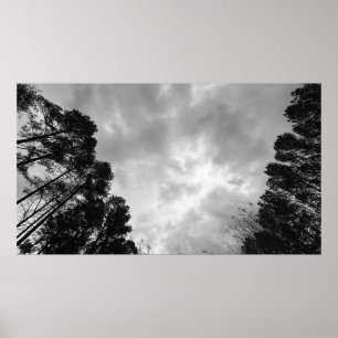 Cloudy Skies, Poster