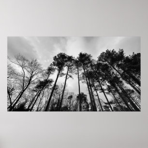 Cloudy Skies,  Poster