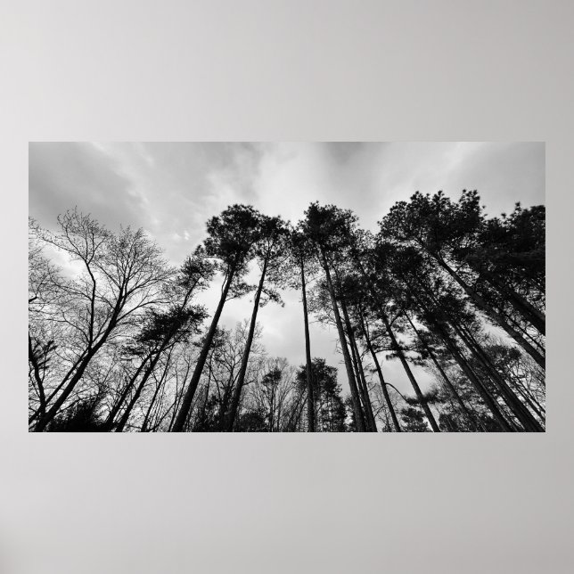 Cloudy Skies,  Poster (Front)