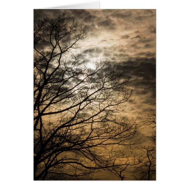 Cloudy Sun Scene (Front)
