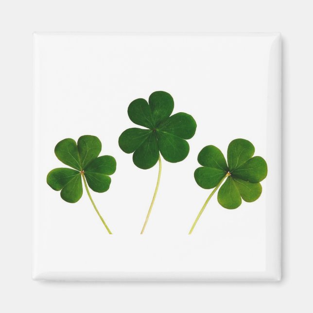 Clover 🍀 magnet (Front)