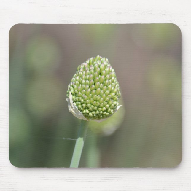 Clover Mouse Pad (Front)