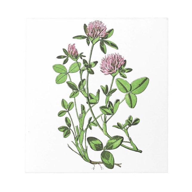 Clover Vintage Botanical Print Notepad (Front)