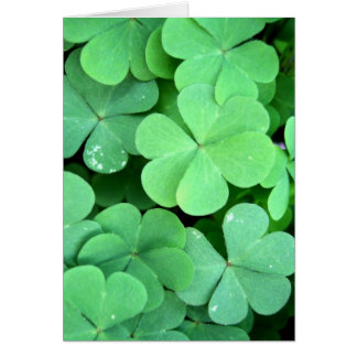Clovers