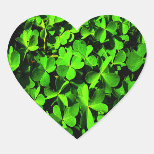 Clovers of Luck on St. Patrick's Day Heart Sticker