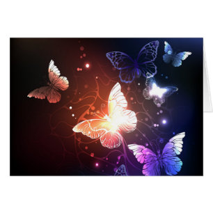 Clowing Night Butterflies