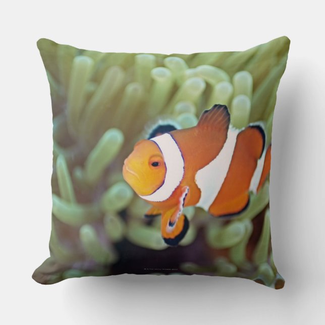 Clown anemonefish 4 throw pillow (Front)