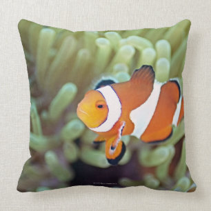 Clown anemonefish 4 throw pillow