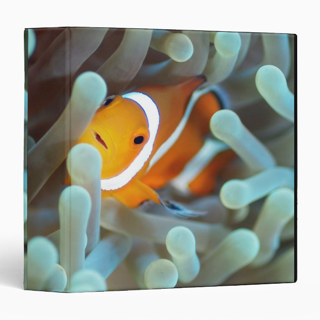 Clown Anemonefish Binder (Front/Spine)