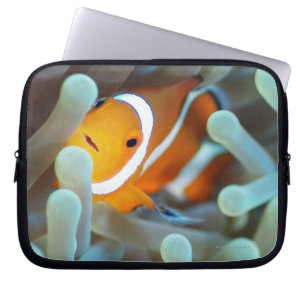 Clown Anemonefish Laptop Sleeve