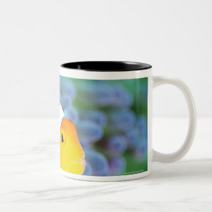 Clown anemonefish Two-Tone coffee mug