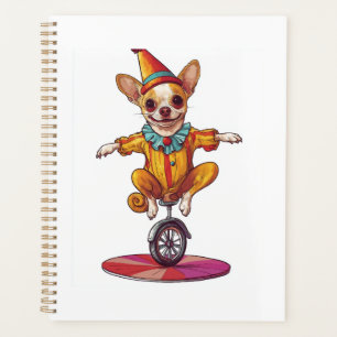 Clown Chihuahua � Chien de cirque amusant