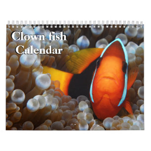 Clown Fish 2027 Calendar