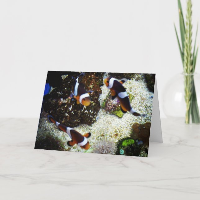 "Clown Fish" Birthday Card (Front)