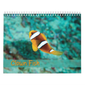 Clown Fish Calendar - Anemone Fish 