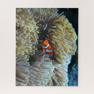 Clown Fish in a Coral Reef Jigsaw Puzzle