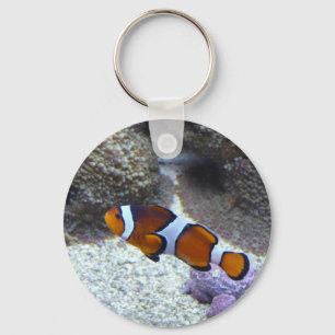 clown fish keychain