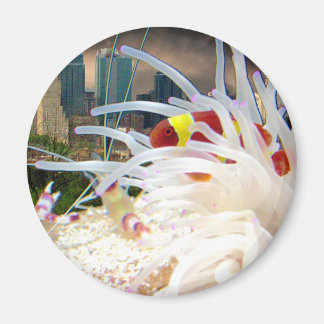 Clown Fish Magnet