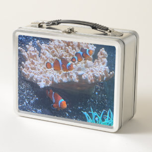 Clown Fish Metal Lunch Box