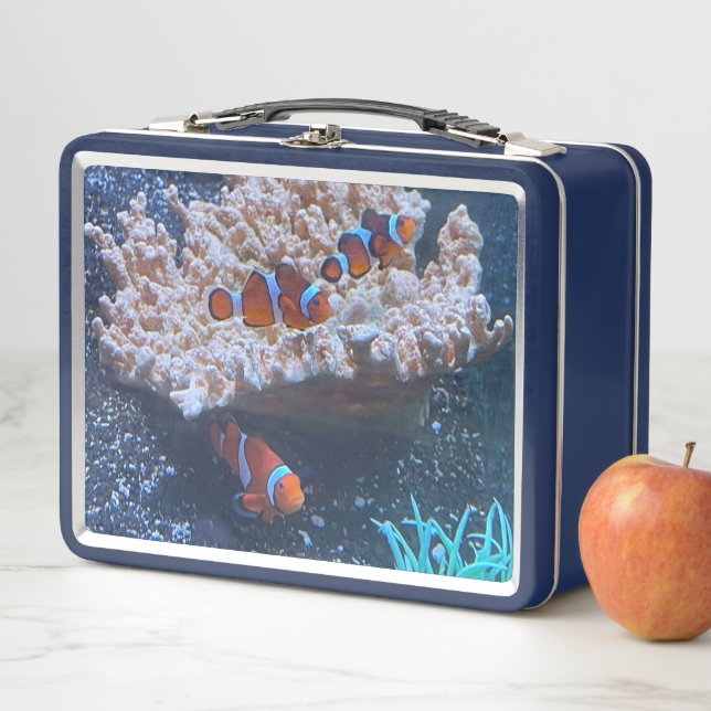 Clown Fish Metal Lunch Box (In Situ)