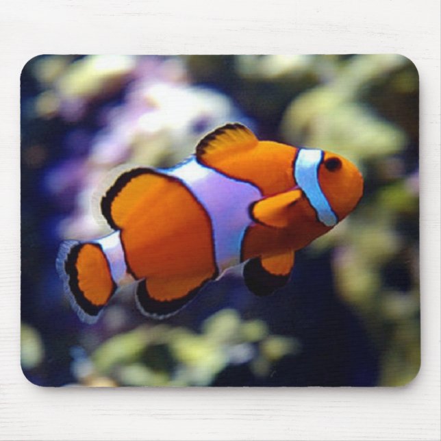 clown fish mouse pad (Front)