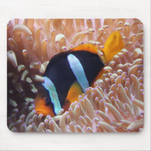 Clown Fish Mousepad