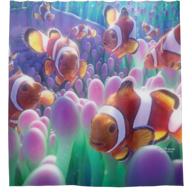Clown Fish Nemo (Front)