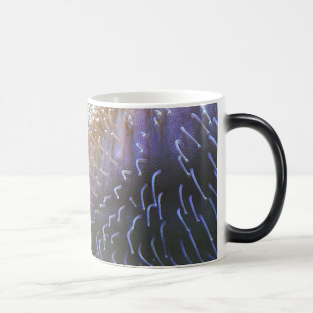 Clown fish orange magic mug (Right)