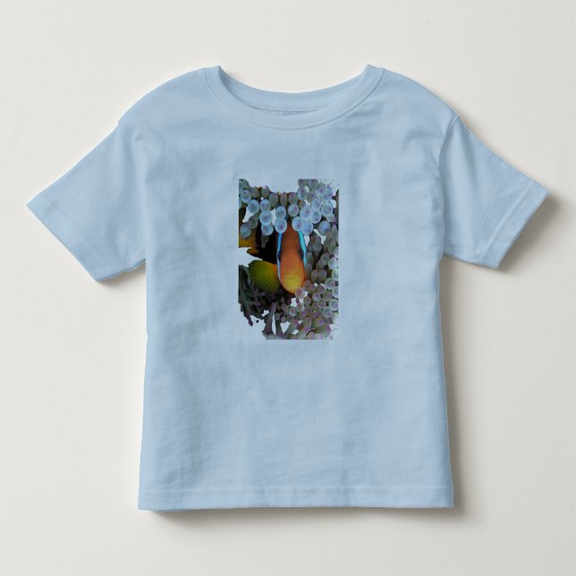 clown fish toddler t-shirt (Front)