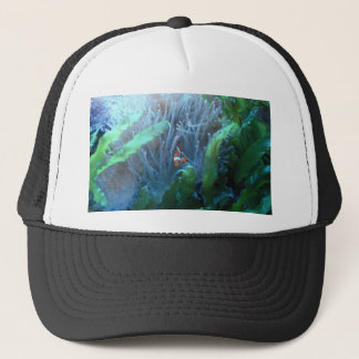 Clown Fish Trucker Hat