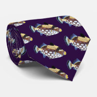 Clown triggerfish