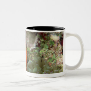 Clownfish 2 Two-Tone coffee mug