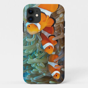 Clownfish iPhone 11 Case