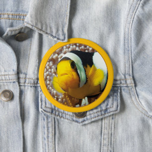 Clownfish - Close-Up! Round Photographic Design 4 Inch Round Button