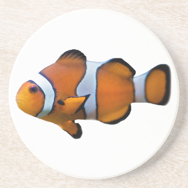 Clownfish Coaster (Front)