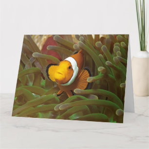 Clownfish in green anemone. Coralreef Raja Ampat   Card