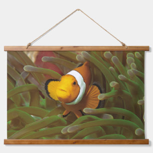 Clownfish in green anemone. Coralreef Raja Ampat Hanging Tapestry