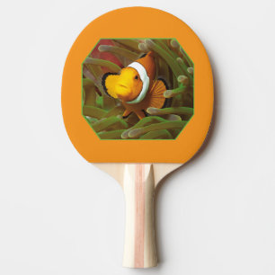 Clownfish in green anemone. Photographic Design Ping Pong Paddle